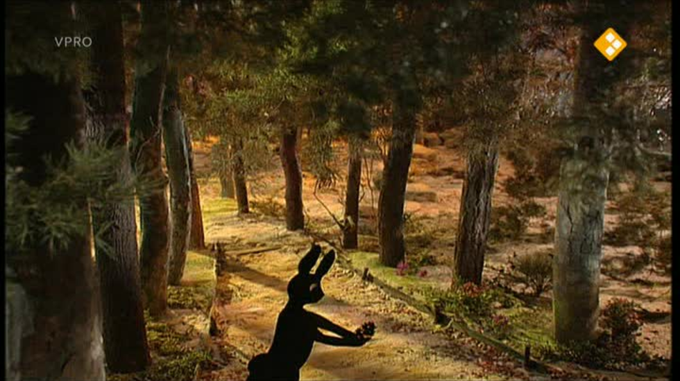 Verhalen van de boze heks: De egel gooit raak gemist? Terugkijken doe