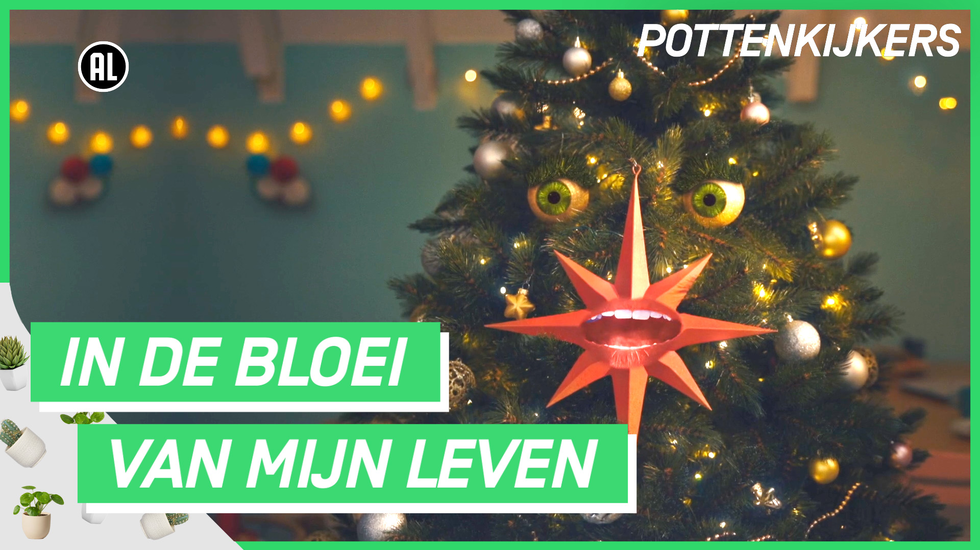 Kerstappels' gemist? Online terugkijken kan hier!