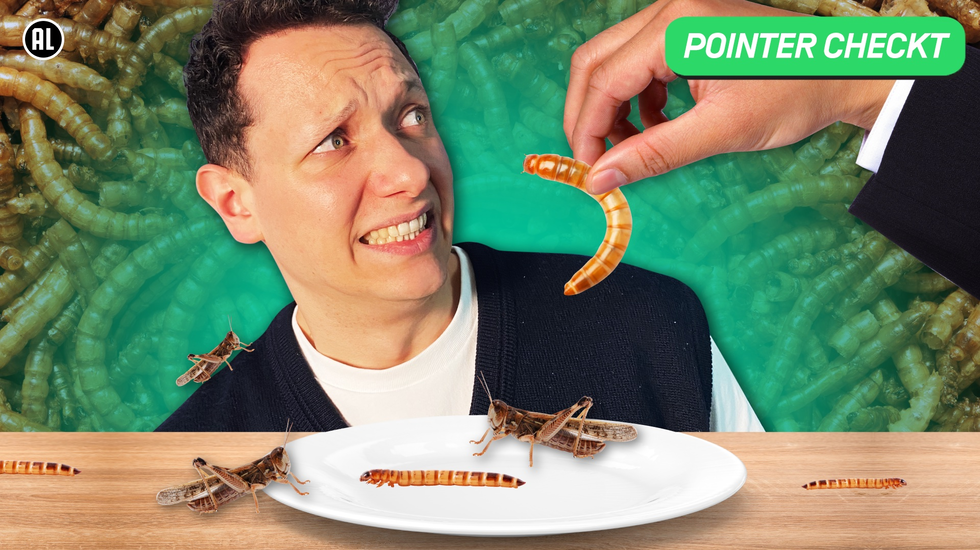 Moet jij straks verplicht insecten eten? | Pointer Checkt #36