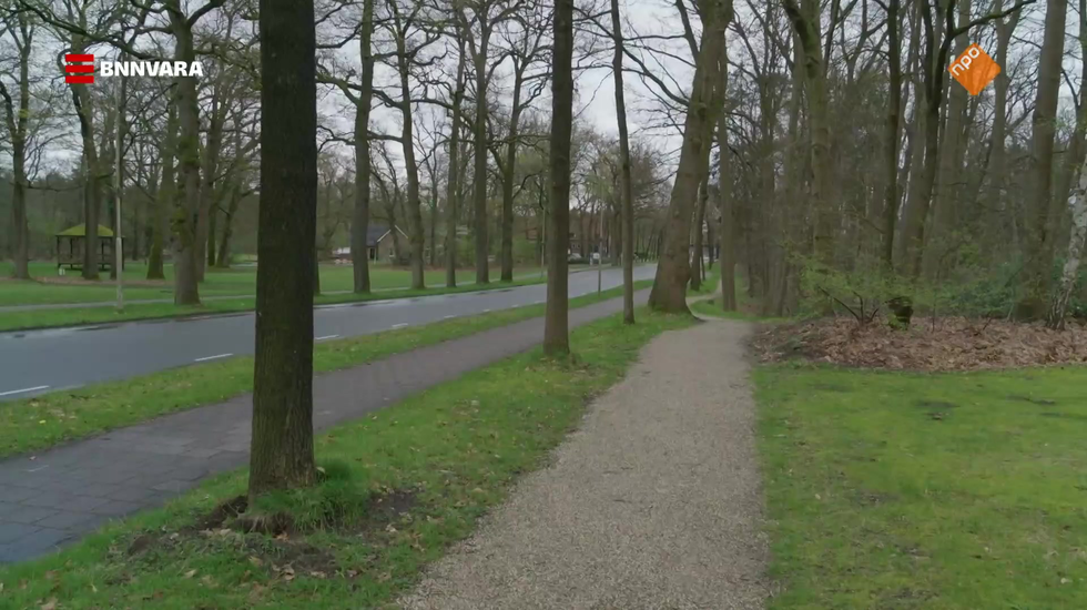 Van Roosmalen op Reportage bij Vitesse