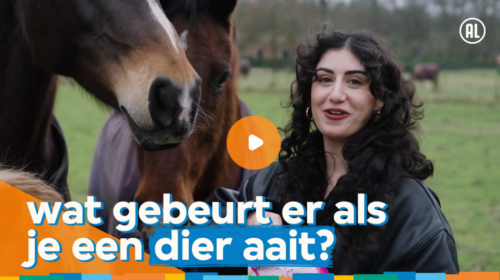 Club Lees: Hoe helpen dieren bij traumaverwerking? | Club Lees Boek 5