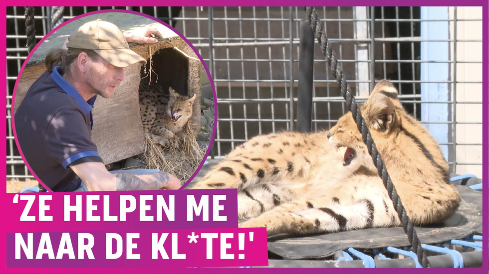 Keiharde clash tussen dierenverblijf en gemeente: ‘Geen hart!
