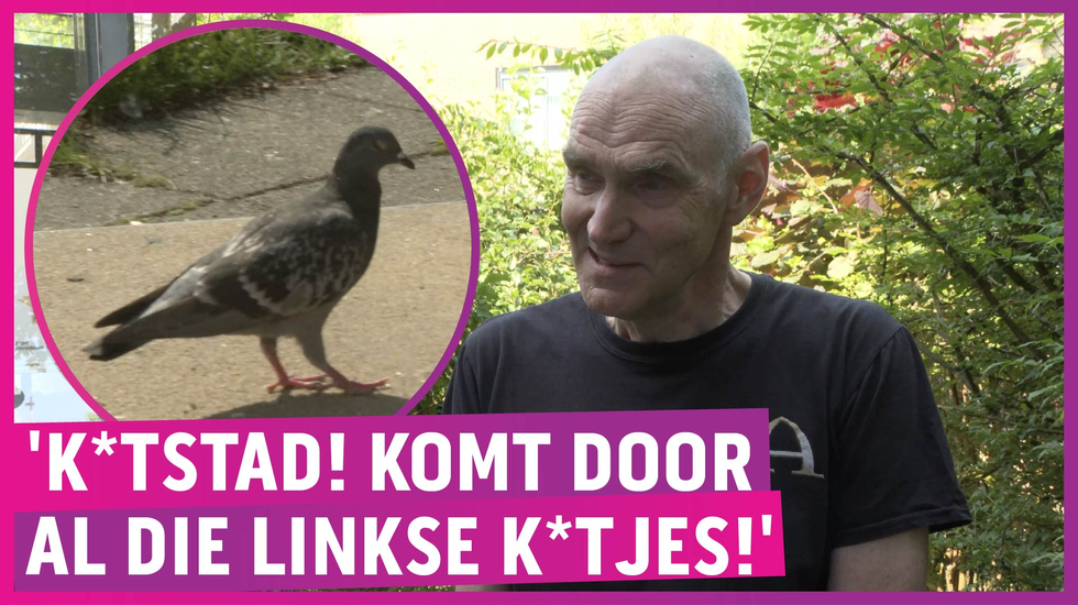 Amsterdam schrikbarend duifonvriendelijk: 