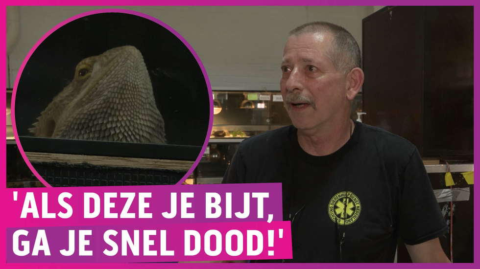Giftige slangen en hagedissen massaal gedumpt: 