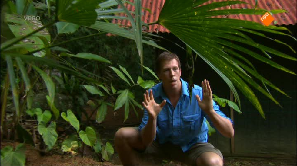 Freek in het wild: Jungle survival en kolibrie gemist? Terugkijken doe