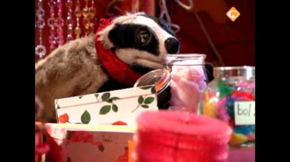 Leesdas Lettervos Boekentas Gemist Terugkijken Doe Je Op Npo3 Nl