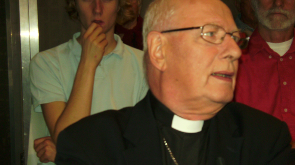 Brandpunt Profiel - Kardinaal A.j. Simonis