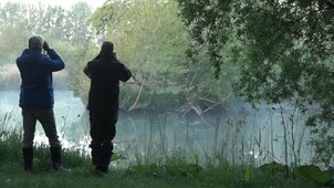 Vroege vogels