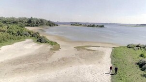 Vroege vogels