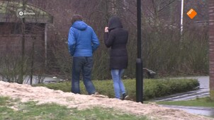 EenVandaag
