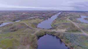 Vroege vogels