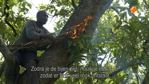 EO Metterdaad