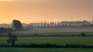 Vroege vogels