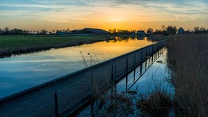 Vroege vogels