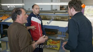 Keuringsdienst van waarde