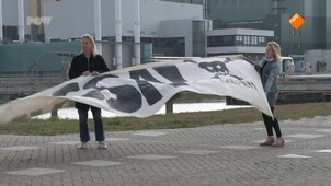 De Hofbar