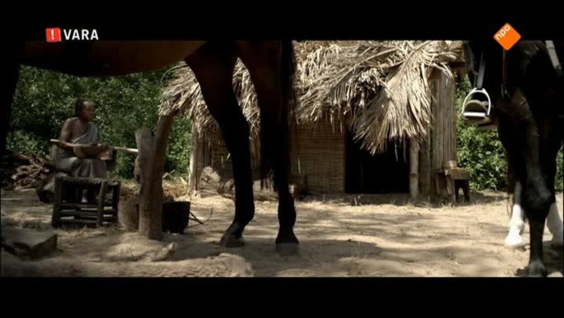Hoe duur was de suiker Hoe duur was de suiker kijk je op npo.nl Hoe duur was de suiker Hoe duur was de suiker kijk je op npo.nl