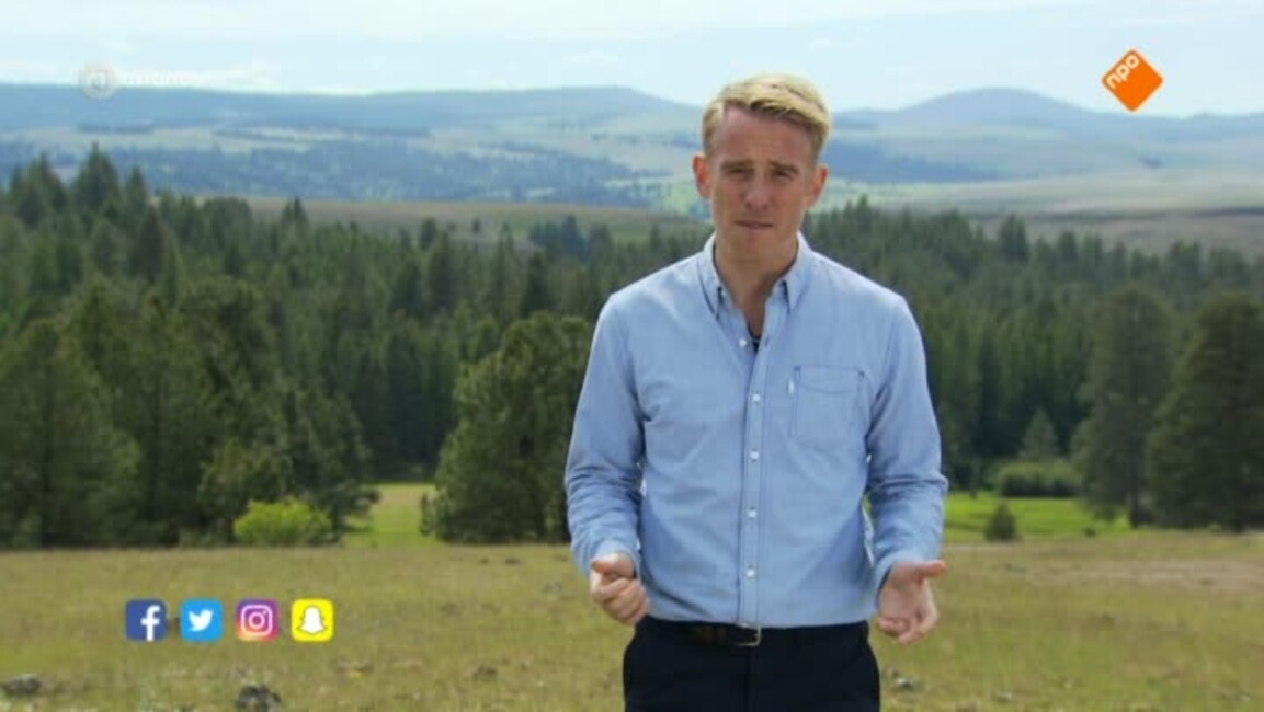 Wie is de Mol? Aflevering 5 'teugels in handen' gemist? Start met kijken op npostart.nl